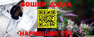 мдпв Заволжье