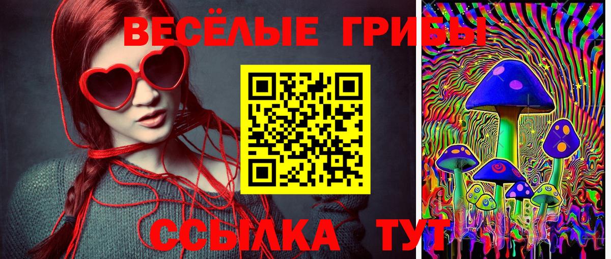 Псилоцибиновые грибы ЛСД  что такое   Владимир  Вход с VPN 